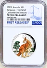 2023 Australian Silver Kangaroo 1 oz — photo from another recent sale