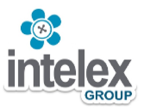 intelex warmies penguin