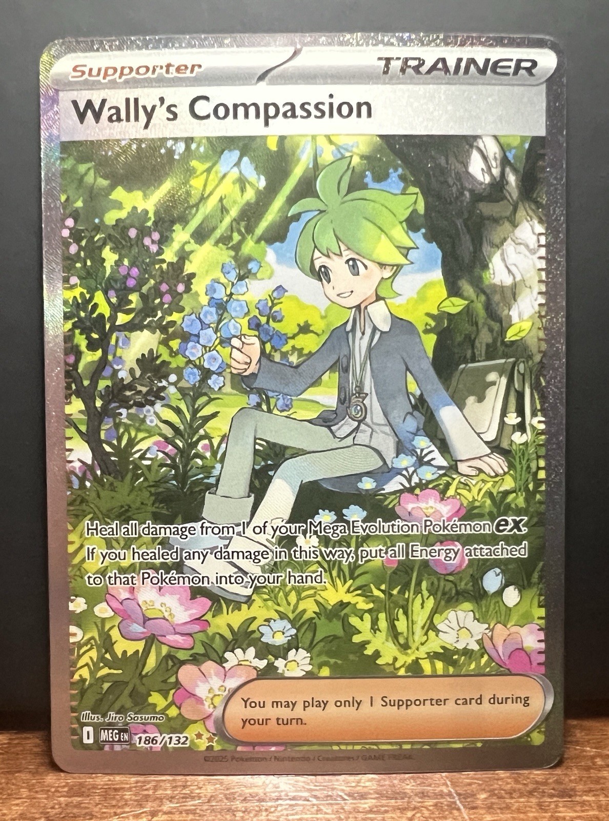 Wally's Compassion 186/132 Pokemon Mega Evolution Special Illustration Rare NM
