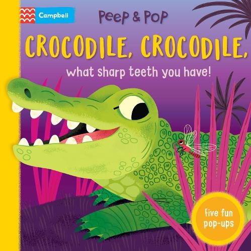 Crocodile Crocodile What Sharp Teeth You Have by Books Cambell (HB 2025) - Image 6