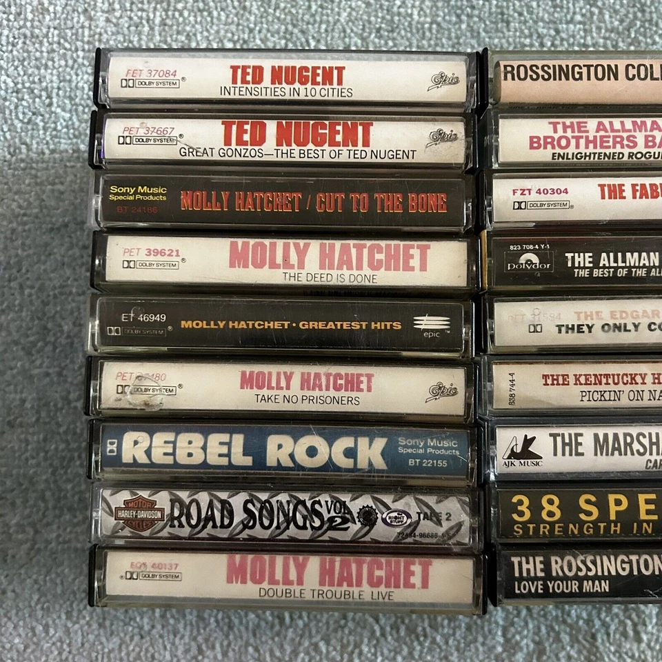 Cassette Tape Lot Ted Nugent Molly Hatchet Marshall Tucker Allman Bros Edgar Win Foto 4 de 4