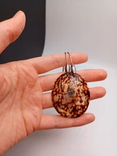 Boho Shell Necklace / Silver Chain / Hippie / Boho / Tropical / Sea Shell Neckl