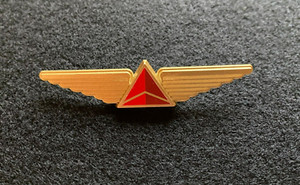 Junior Wings | eBay