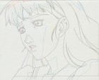 The Twelve Kingdoms Juuni Kokki Genga Douga Original Sketches Pierrot - Youko — photo 7