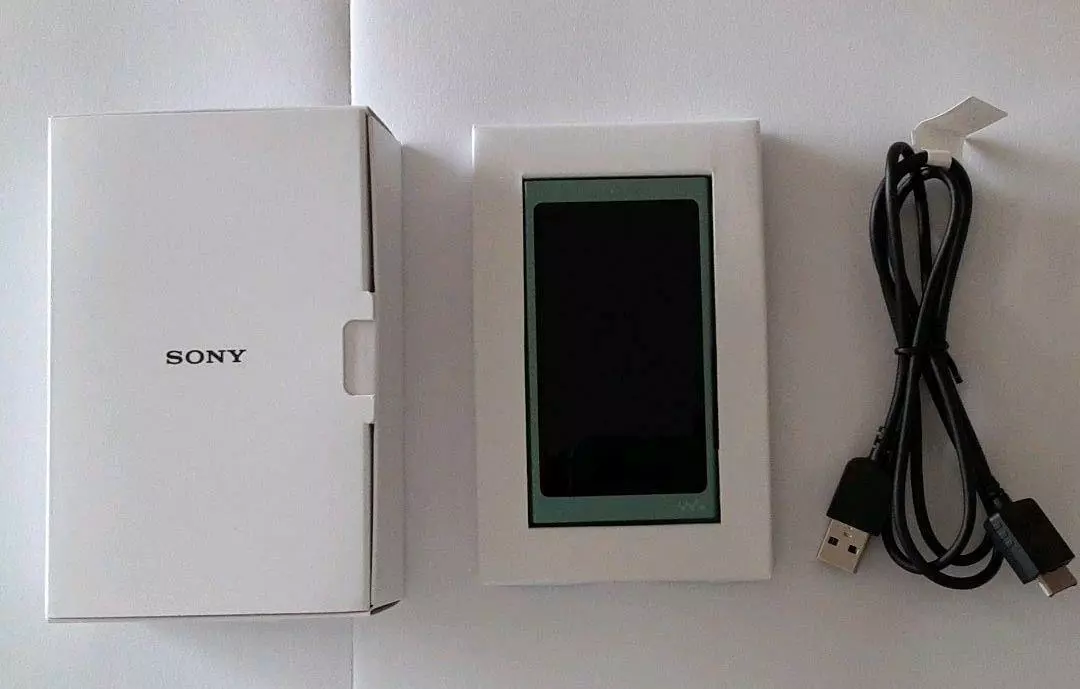 SONY Walkman A 64GB Horizon Green NW-A47 G Bluetooth microSD high