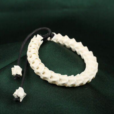 Bracelet Natural Genuine Snake Spine Skeleton Vertebrata Jewelry