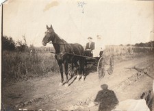 Antique Photo Horse Drawn Carriage Rural Red Oak Iowa Dirt Road IDd Man American