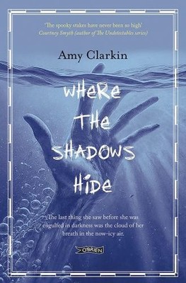 Where the Shadows Hide by Amy Clarkin Paperback Book