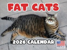 Fat Cat Calendar 2026 Monthly Wall Calender 12 Month