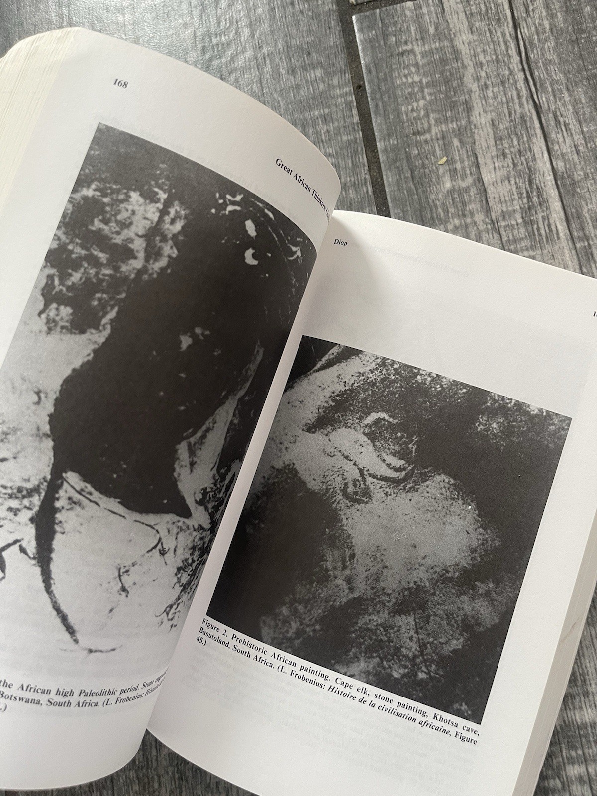 Great African Thinkers : Cheikh Anta Diop ed. Ivan Van Sertima RARE!