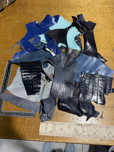 Alligator Skin Scraps, Remnants, Pieces blues