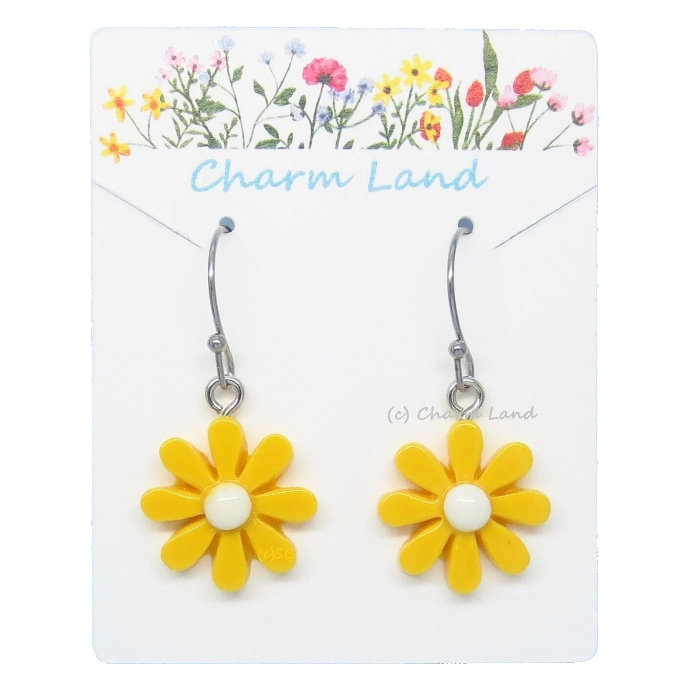 Surgical Steel Plastic Fashion Jewelry