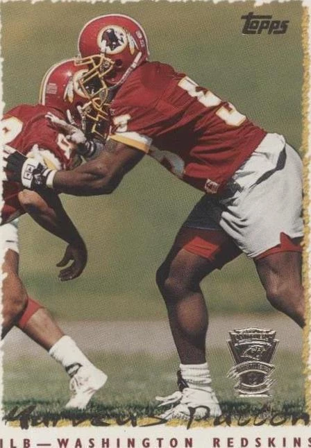 Carolina Panthers Inaugural Season