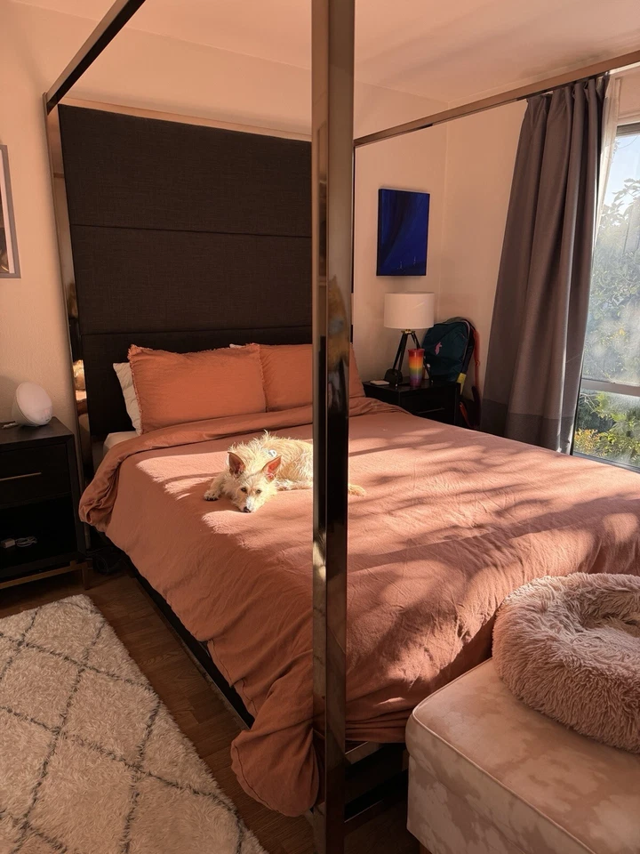 Solivita Champagne Gold Metal Canopy Bed Queen - Image 3 of 4