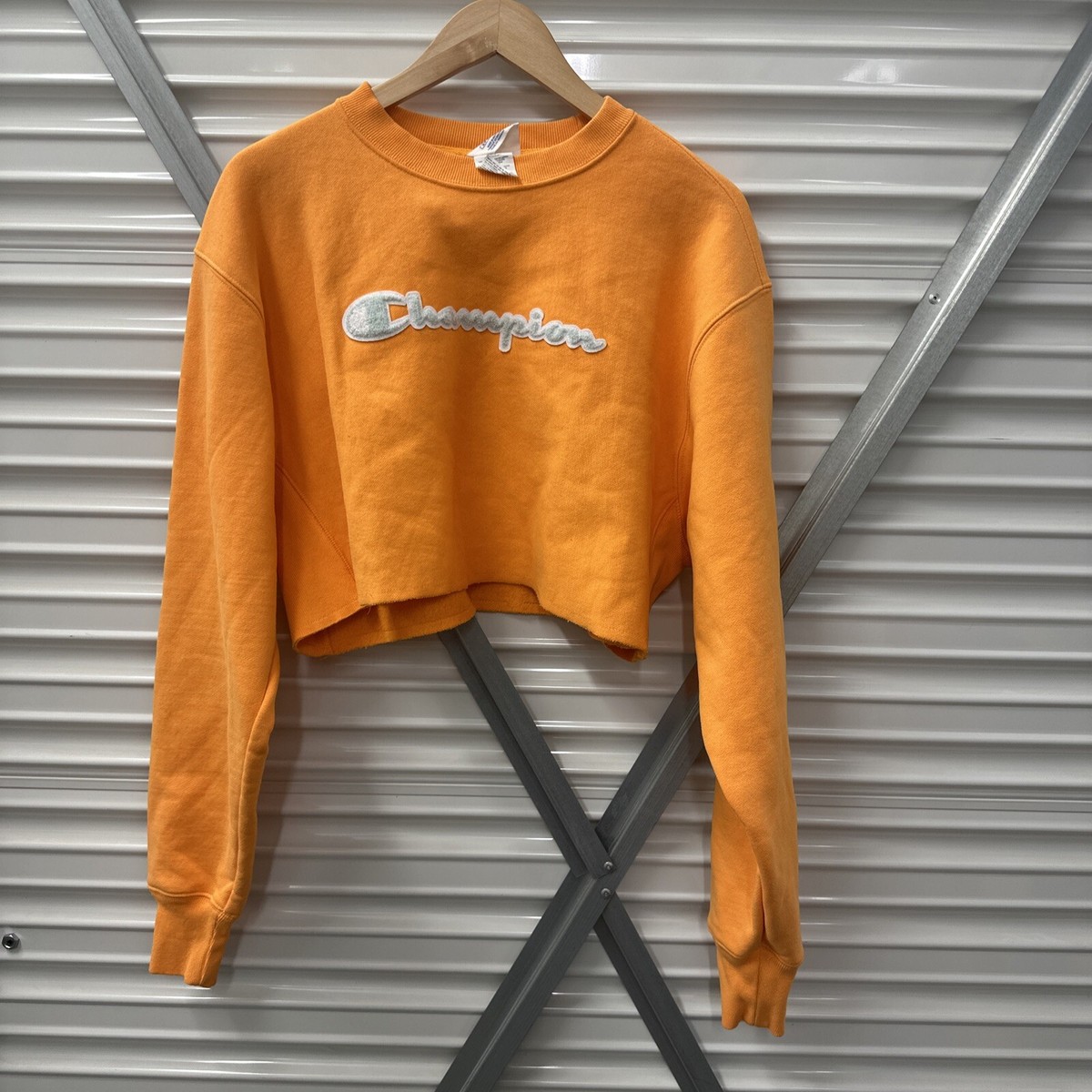 Champion Reverse Weave Cropped Champion Cropped Crewneck