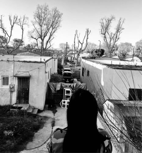 Generacion Suicida Regeneracion (Vinyl LP) 12" Album