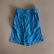 Champion Honeycomb Mesh Athletic Shorts Men  s Small Blue EUC