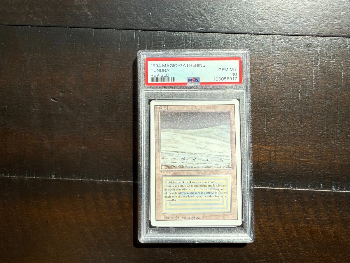 Land Magic: The Gathering Professional Sports Authenticator (PSA