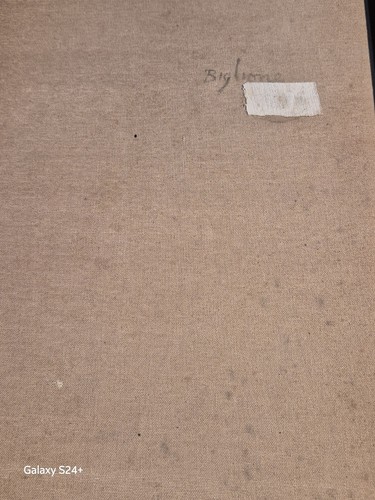 Annibale Biglione (1923-1981) 50×100 Olio Su Tela con Autentica - Foto 8 di 8