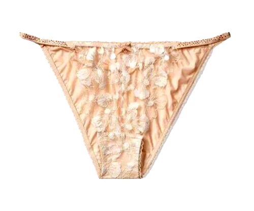 Victorias Secret Body by Victoria Shimmer Bikini Panty Size XL Embroidered Front - Afbeelding 1 van 2