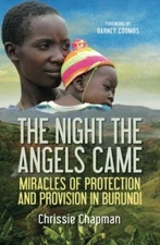 The Night the Angels Came: Miracles of Protection and Provision 