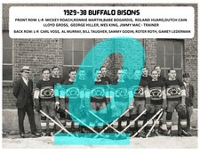 AHL BUFFALO BISONS HOCKEY MEDIA + TEAM PHOTOS ( YOU PICK FROM LIST) REPRINTS