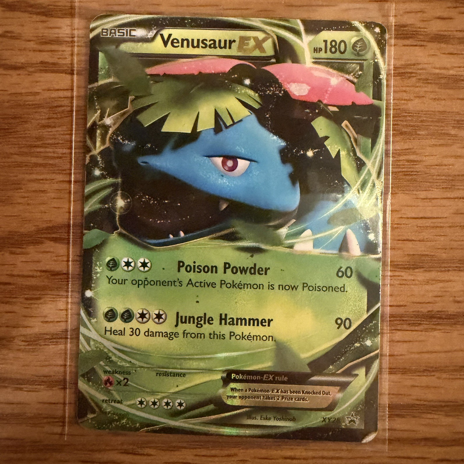 Venusaur EX Holo Promo XY Promos XY28 HP