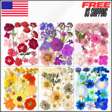221PCS Real Nature Dried Pressed Flowers for Resin Craft with Butterfly Stickers