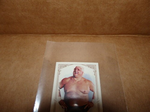 Dusty Rhodes 2012 Topps WWE Heritage Allen & Ginter Card 16 of 30 - Picture 2 of 3