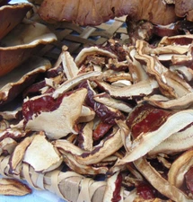 Reishi , Ling Zhi , Wild and Natural