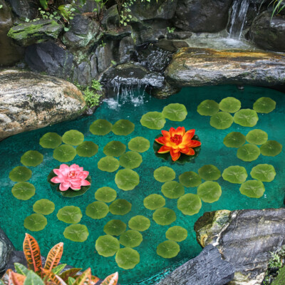 fish pond accessories uk PoppyForge Protection Stakes Pest and a 10x 22 wetland filter Pond Accessories in Newcastle have