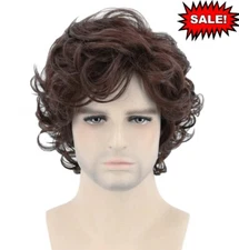 Mens Short Curly Brown Wig Anime Cosplay Wigs Cosplay Party Costume Hair Wigs