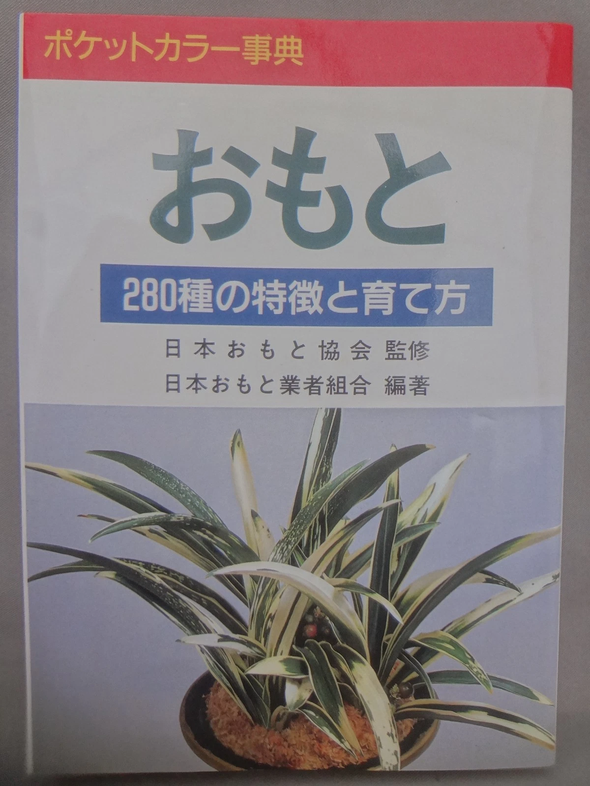 Rohdea japonica 280 kinds Complete Book (Omoto)- Out of print