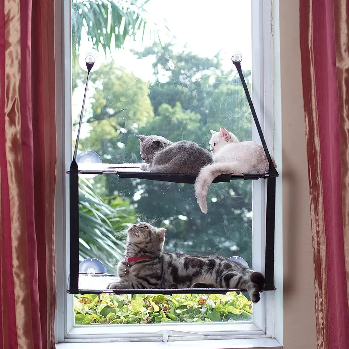 Cat clearance window bed