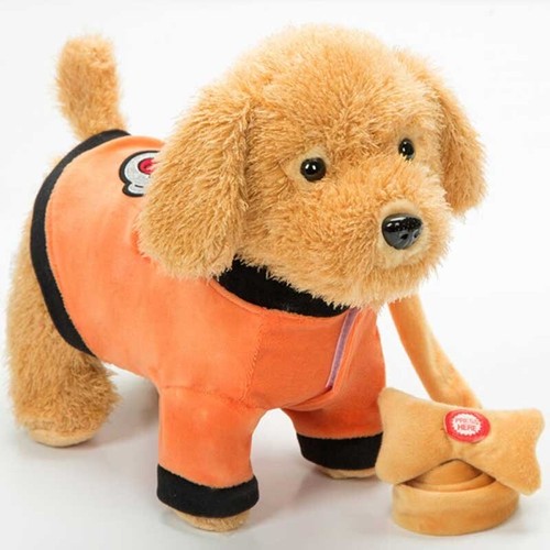 teddy robot dog