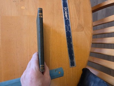 Candide by Voltaire - 1918 Boni and Liveright Leather