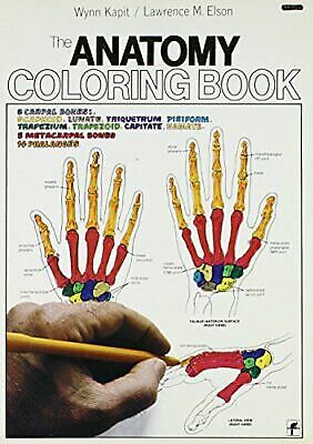 Download The Anatomy Coloring Book by Lawrence M. Elson and Wynn Kapit (1977, Paperback) 9780064539142 | eBay