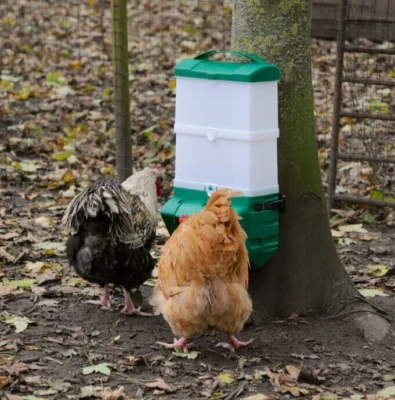 BEC OSPREY Poultry Feeder 15kg, SMART Chicken Feeder Plastic Wall Mounting Bird Hen Water