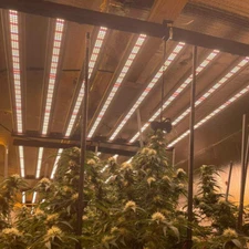 640W 240W Full Spectrum Samsung LED Grow Light Bar for Indoor Plants Commercial