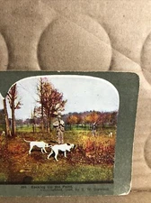 Vintage 1899 Hunter Gun 2  Dog Dogs  Stereoview Photo Card