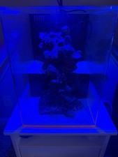 Deskmate MARIANA Drop Off 7 Gallon Acylic Aquarium w extras