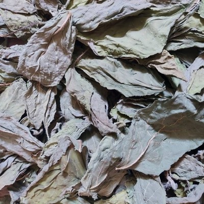 Dried Holy Basil Leaves 3kg Bulk for Cooking Thai Stir Fry Aromatic Culinary