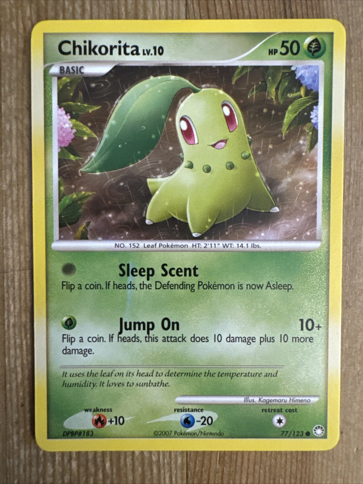 Chikorita