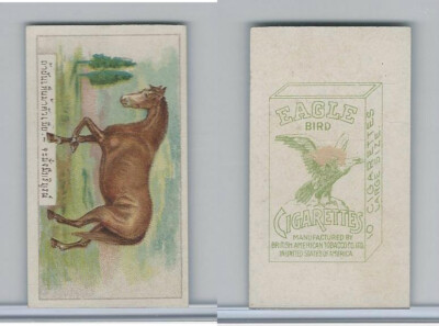 B116-151 BAT Eagle Cigarettes, Animals & Birds, 1912, #31 Horse