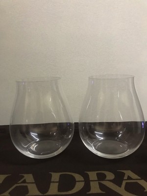 Riedel Big O New World Pinot Noir Glass Stemless Crystal Gin & Tonic Set Of 2