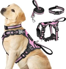 Pet Harness Collar Leash Set All-in-one Reflective Dog Harness No Pull
