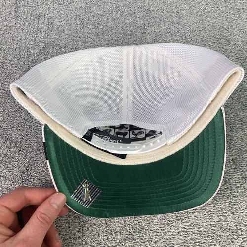 Goorin Bros The Farm "Wavy" Sea Turtle Metallic Snapback Hat Cap Trucker Green - Picture 6 of 9