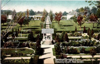 Postcard Saratoga Springs New York NY Chauncey Olcott's Rose Garden Unposted