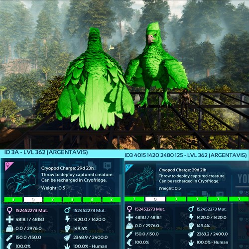 Ark Survival Ascended Pve Argentavis / Argy Max Level 362 - Picture 24 of 29