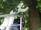 Bild 7 von 13